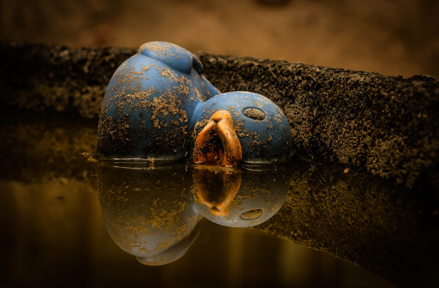 blue_duck_by_sudlice-d7x15ds.jpg